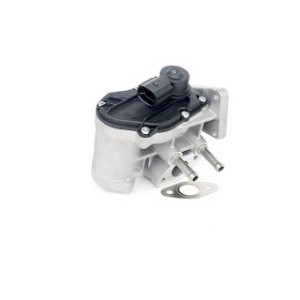 EGR Valve - RIDEX 1145E0054