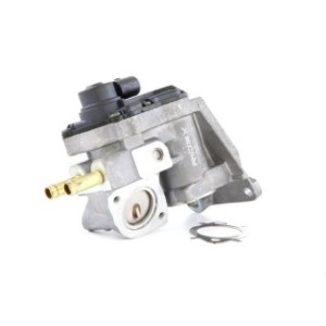 EGR Valve - RIDEX 1145E0058