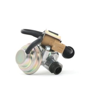 EGR Valve - RIDEX 1145E0098
