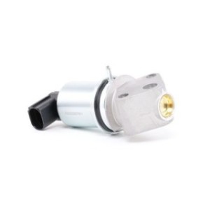 EGR Valve - RIDEX 1145E0109