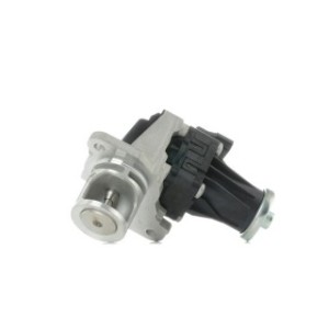 EGR Valve - RIDEX 1145E0131