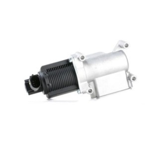 EGR Valve - RIDEX 1145E0144