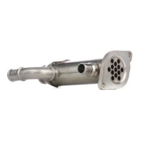 EGR Valve - RIDEX 1145E0152