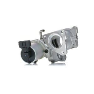 EGR Valve - RIDEX 1145E0168