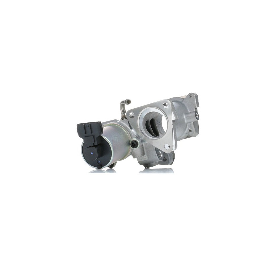 EGR Valve - RIDEX 1145E0168