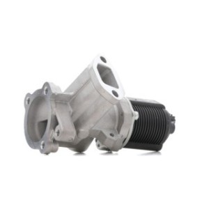 EGR Valve - RIDEX 1145E0169