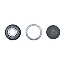 Steering Knuckle Repair Kit for NISSAN PATROL OE 40040-01J00