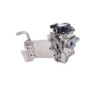 EGR Valve - RIDEX 1145E0190