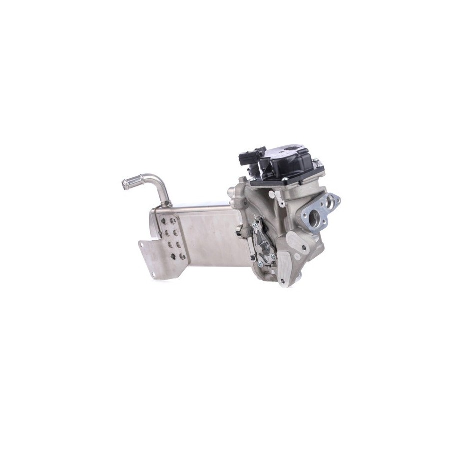 EGR Valve - RIDEX 1145E0190