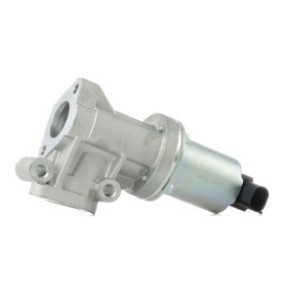 EGR Valve - RIDEX 1145E0193