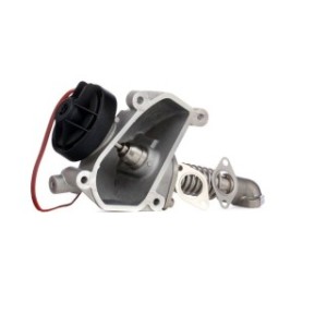 EGR Valve - RIDEX 1145E0199