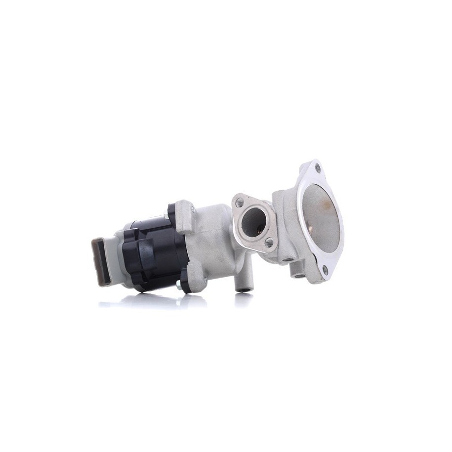 EGR Valve - RIDEX 1145E0213