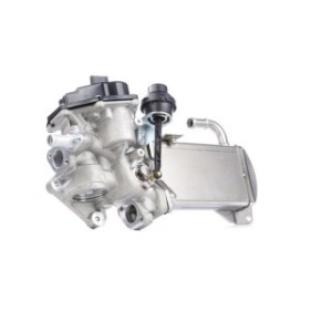 EGR Valve - RIDEX 1145E0232