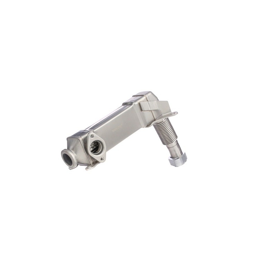 EGR Valve - RIDEX 1145E0233