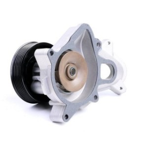 Engine Cooling Water Pump - RIDEX 1260W0066