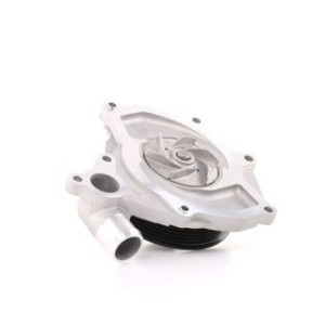 Engine Cooling Water Pump - RIDEX 1260W0080