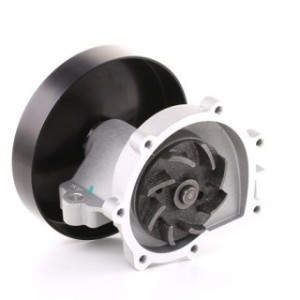 Engine Cooling Water Pump - RIDEX 1260W0116