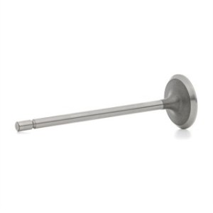Intake Valve - RIDEX 1269I0005