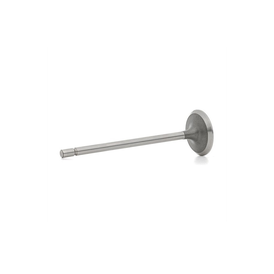 Intake Valve - RIDEX 1269I0005