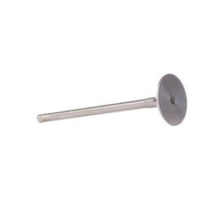 Intake Valve - RIDEX 1269I0009