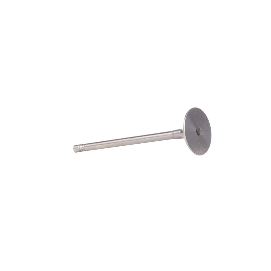 Intake Valve - RIDEX 1269I0009
