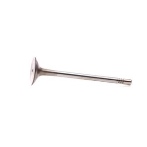 Intake Valve - RIDEX 1269I0017