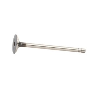 Exhaust Valve - RIDEX 1270O0002