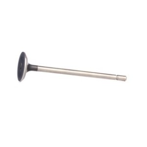 Exhaust Valve - RIDEX 1270O0003