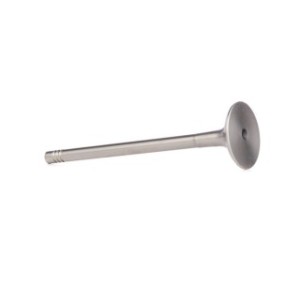 Exhaust Valve - RIDEX 1270O0004