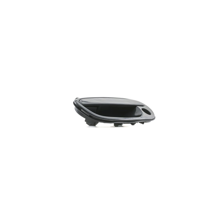 Exterior Door Handle - RIDEX 1373D0037