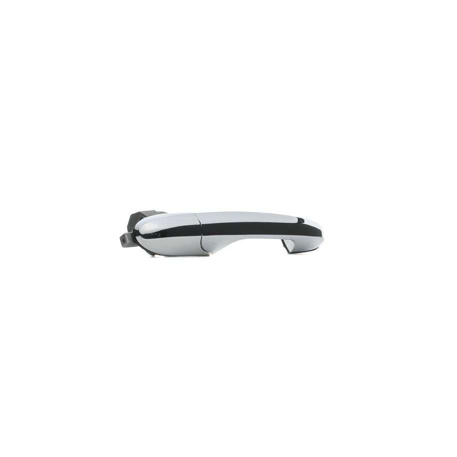 Exterior Door Handle - RIDEX 1373D0095