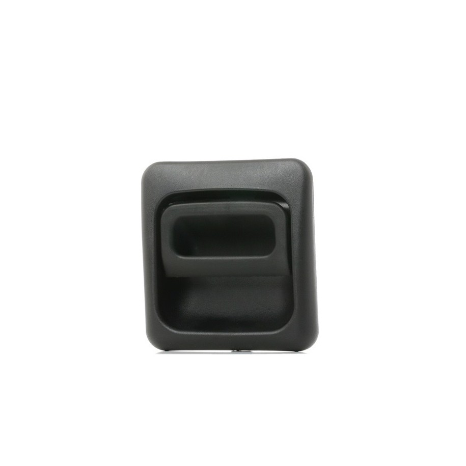 Exterior Door Handle - RIDEX 1373D0099
