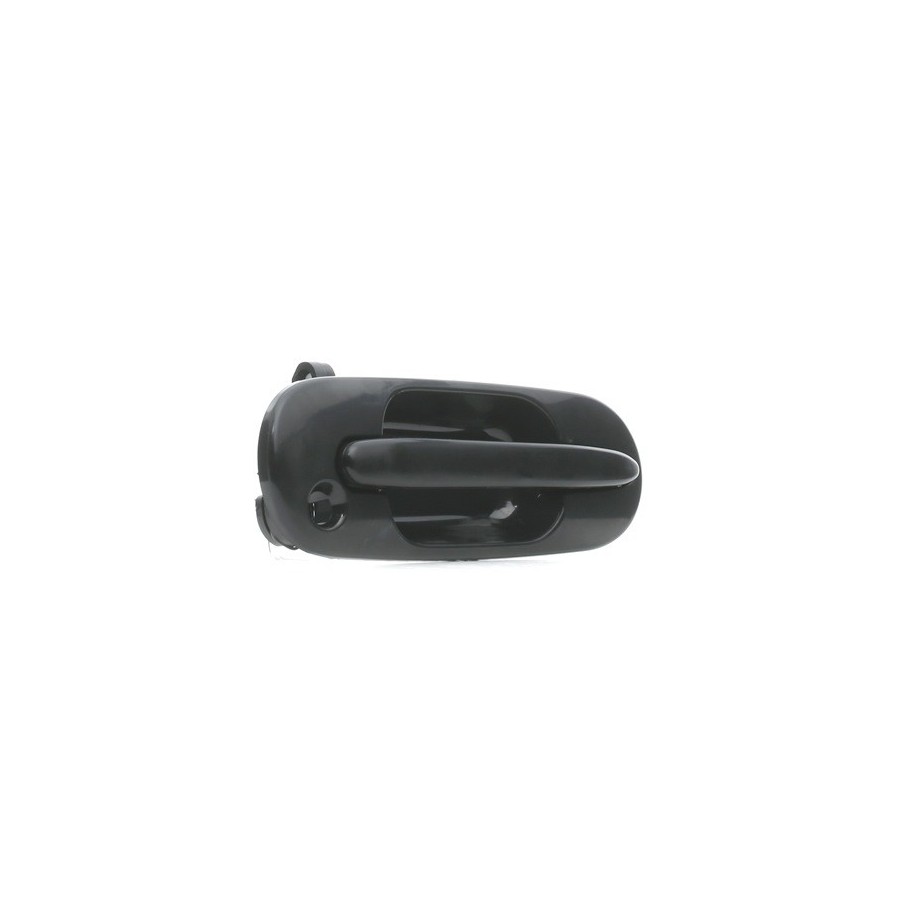 Exterior Door Handle - RIDEX 1373D0102