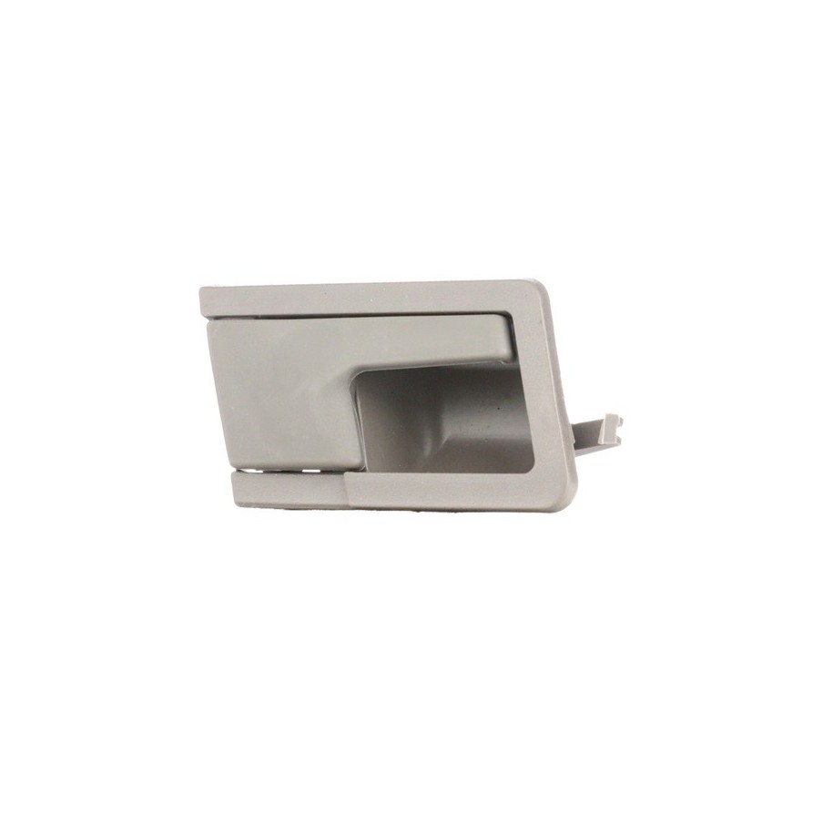 Exterior Door Handle - RIDEX 1373D0117
