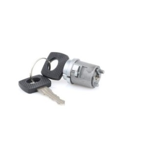 Lock Cylinder - RIDEX 1378L0024