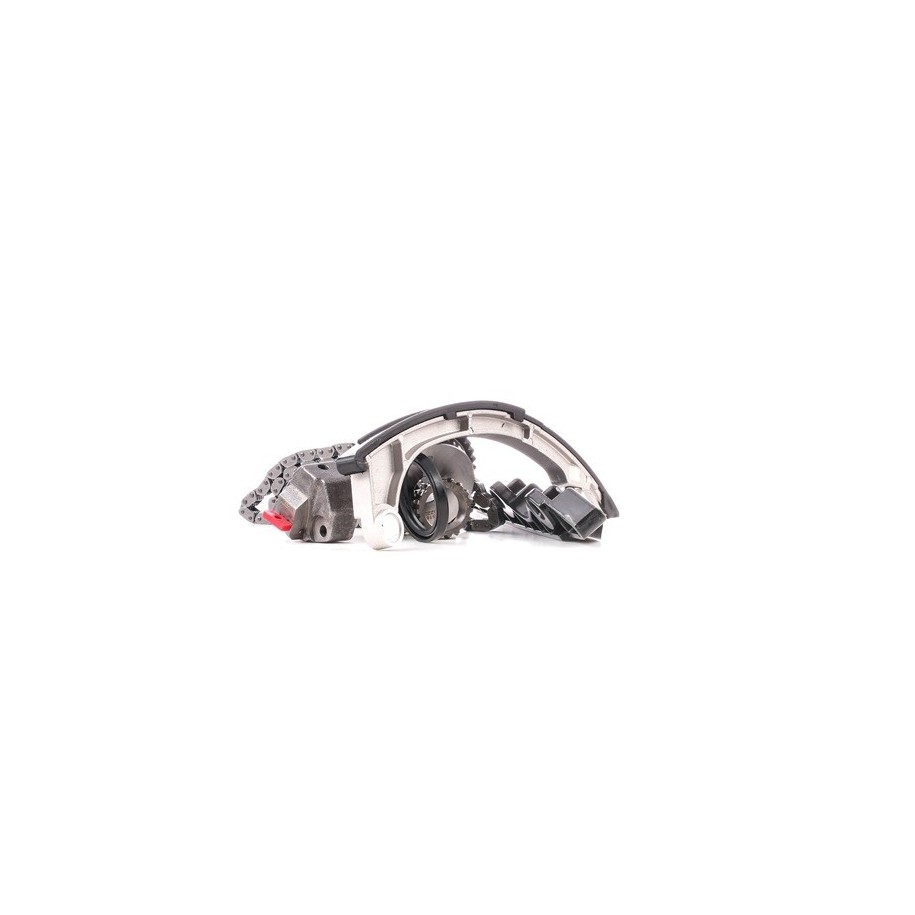 Timing Chain Kit - RIDEX 1389T0055