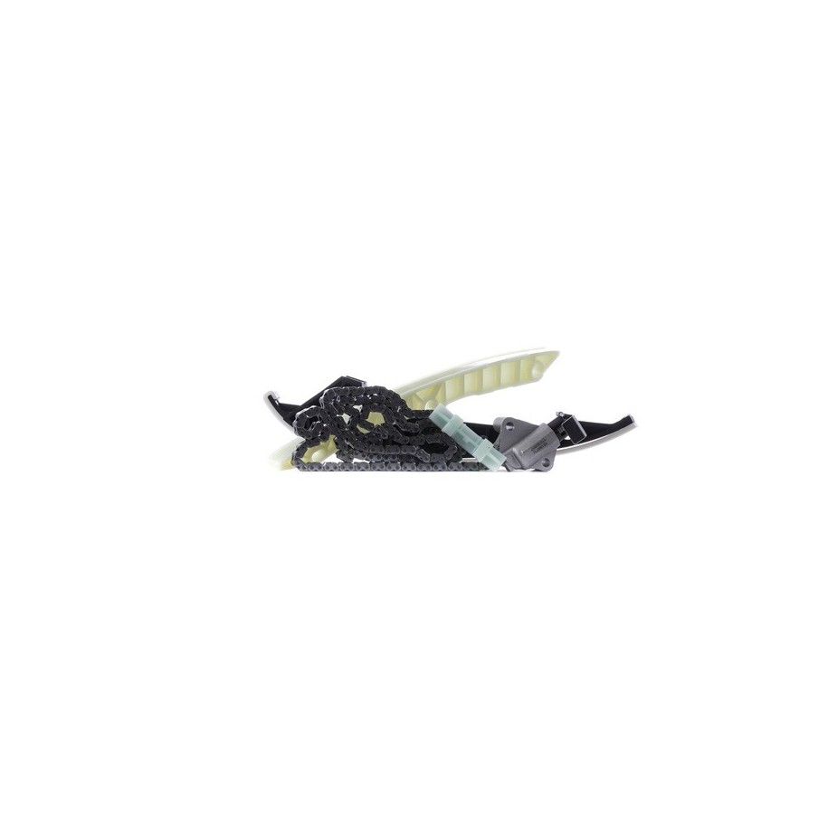 Timing Chain Kit - RIDEX 1389T0100