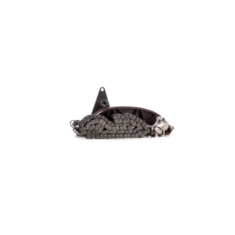 Timing Chain Kit - RIDEX 1389T0120