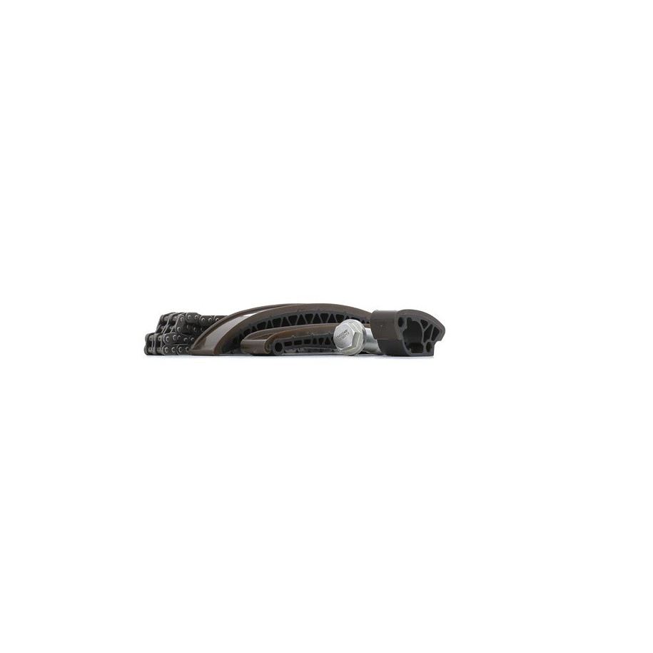 Timing Chain Kit - RIDEX 1389T0121
