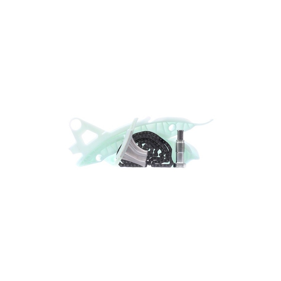 Timing Chain Kit - RIDEX 1389T0139