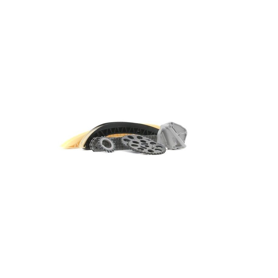 Timing Chain Kit - RIDEX 1389T0173