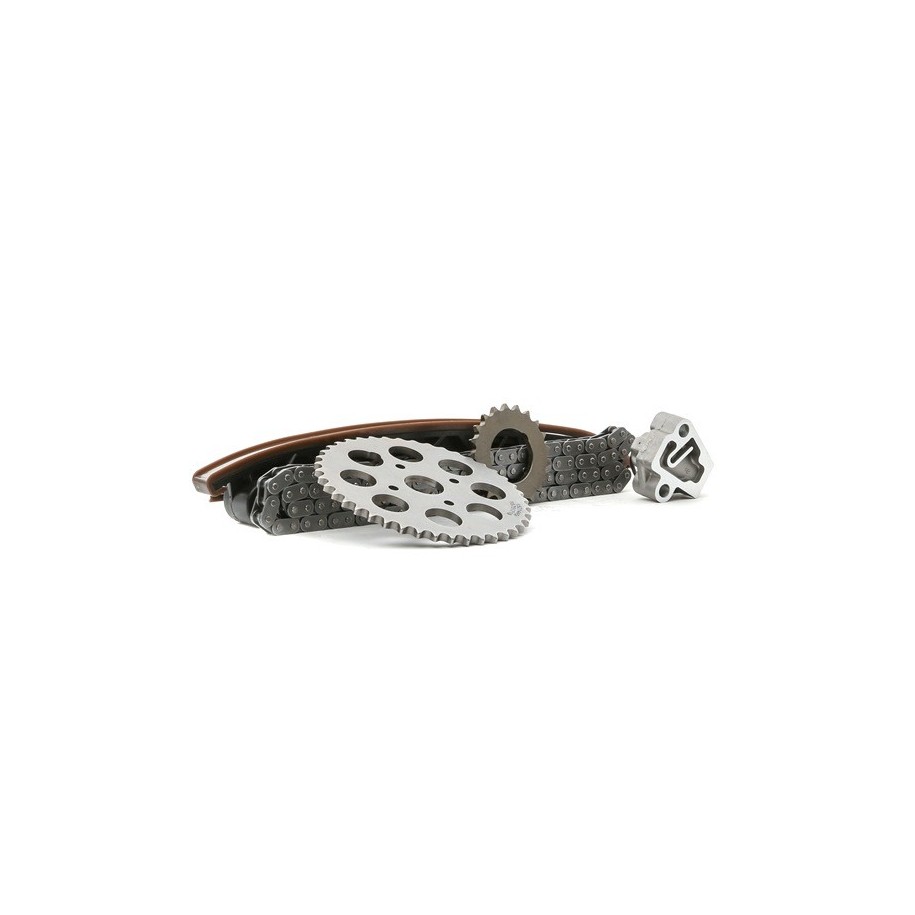 Timing Chain Kit - RIDEX 1389T0215