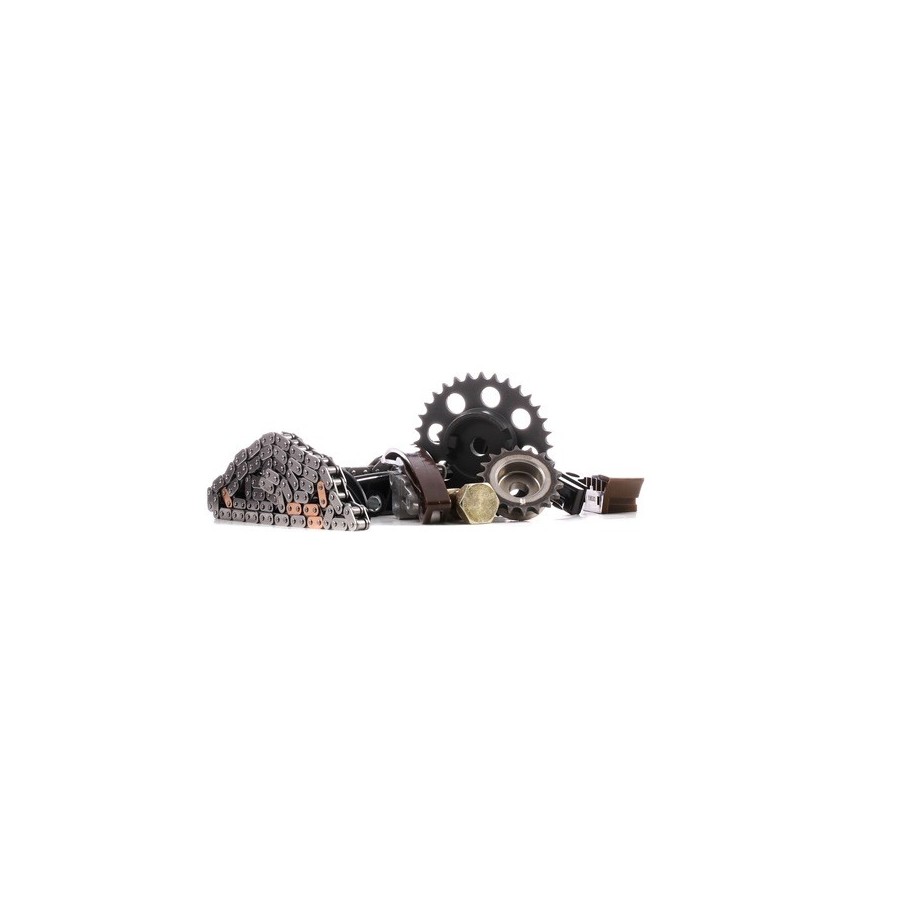 Timing Chain Kit - RIDEX 1389T0253
