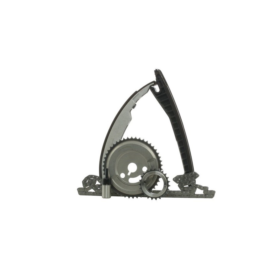 Timing Chain Kit - RIDEX 1389T2441