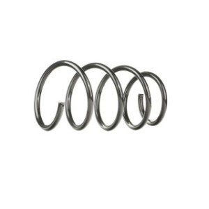 Coil Spring - RIDEX 188C0121