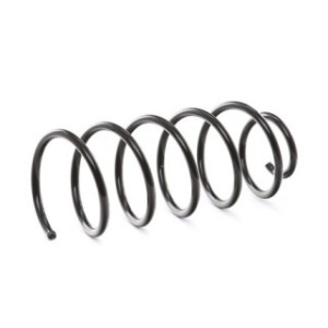 Coil Spring - RIDEX 188C0169
