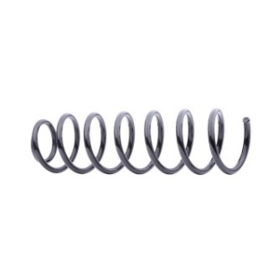 Coil Spring - RIDEX 188C0231