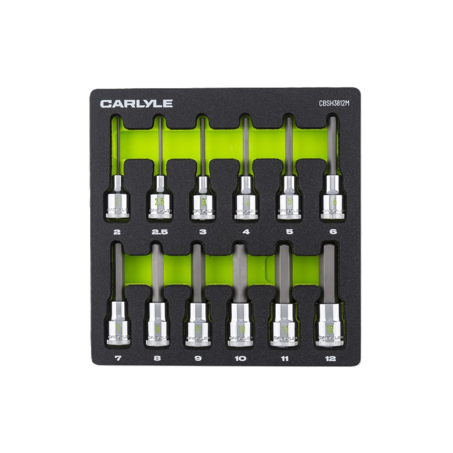 12PC 3/8DR HEX METRIC SOCKET SET