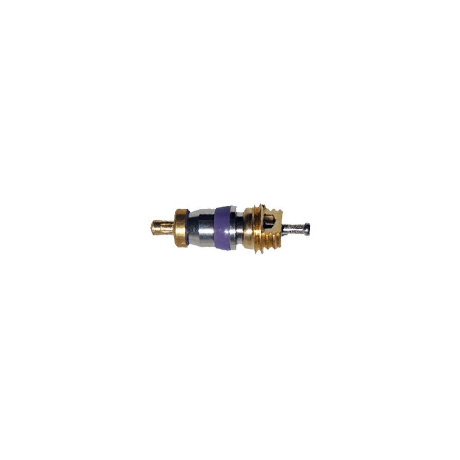Valve Core (BMW Mini Rover Mercedes Audi Vw)