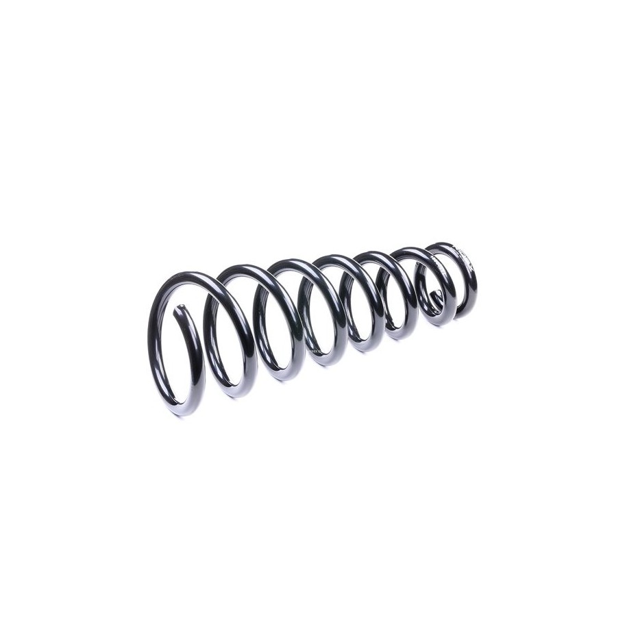 Coil Spring - RIDEX 188C0282